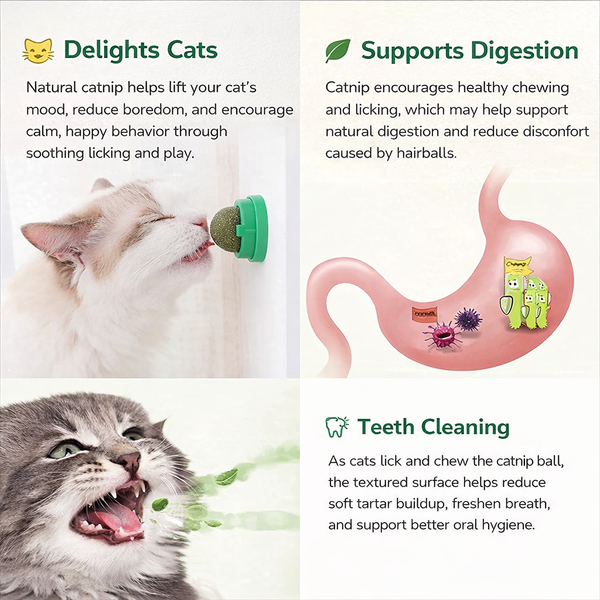 Catnip Lickable Play Balls